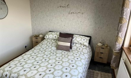 3 Bed in Newton Stewart 8