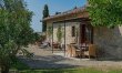 The Olive Stone 0
