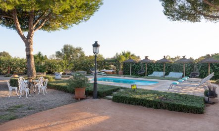 Oasis Labyrinth 8