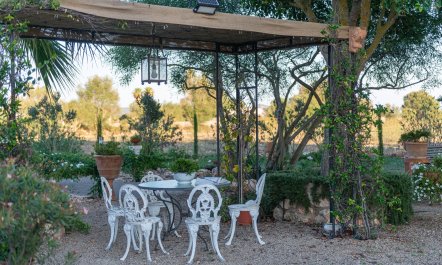Oasis Labyrinth 7