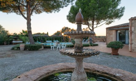 Oasis Labyrinth 6
