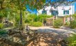 Mallorcan Vines 1