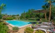Mallorcan Vines 0