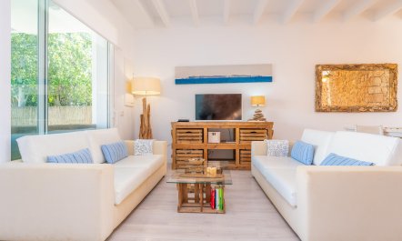 Seashells On The Shore 4