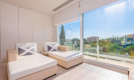 Seashells On The Shore 3