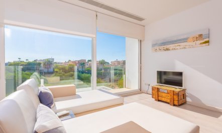 Seashells On The Shore 2