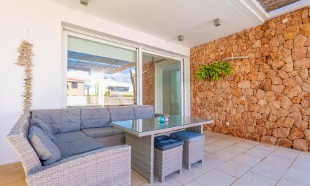 Seashells On The Shore 8