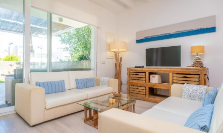 Seashells On The Shore 6