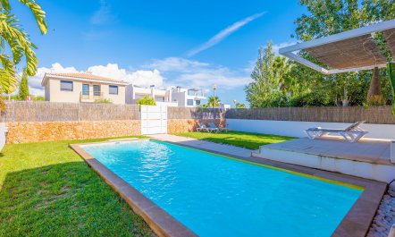 Seashells On The Shore 1