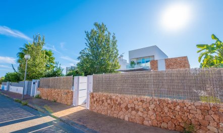 Seashells On The Shore
