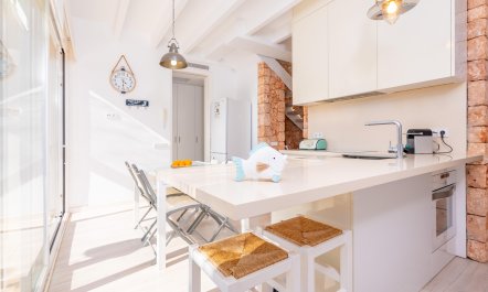 Seashells On The Shore 9