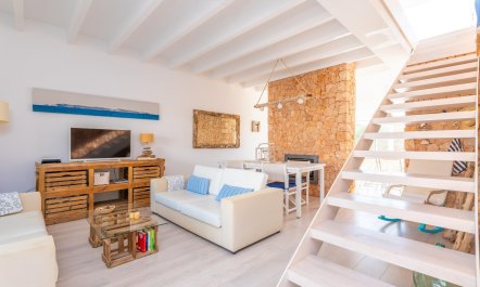 Seashells On The Shore 7