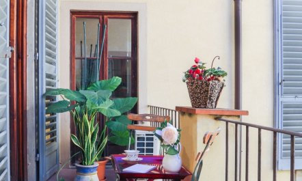 Artist's Abode 5