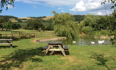 1 Bed in Weston-super-mare