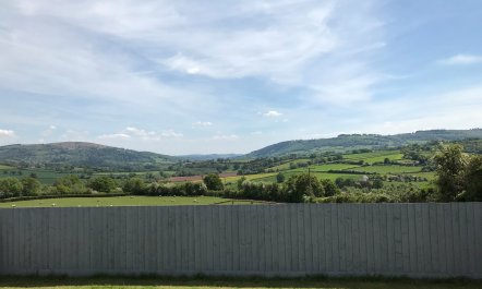 Cider House Rules 4