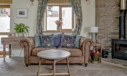 Cider House Rules 8
