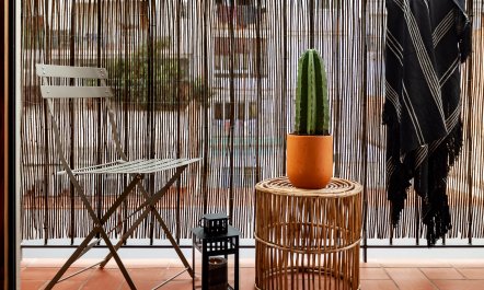 Sansevieria Leaf 1
