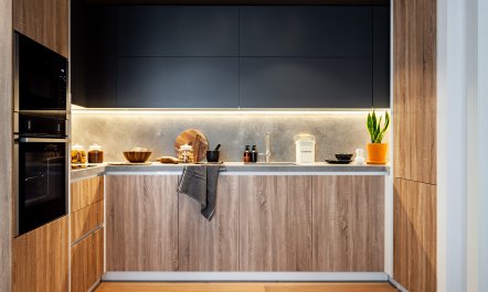 Sansevieria Leaf 8