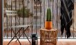 Sansevieria Leaf 1