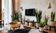 Sansevieria Leaf 3