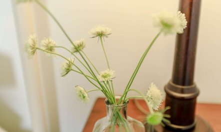 2 Bed in Barnstaple 8