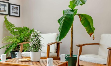 2 Bed in Appleby-in-westmorland 6