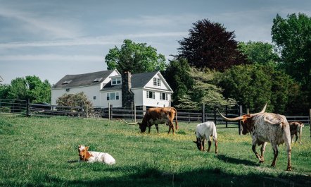 Mystic Countryside Farm 2