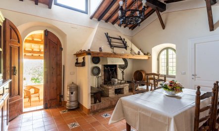 Tuscan Triptych 5