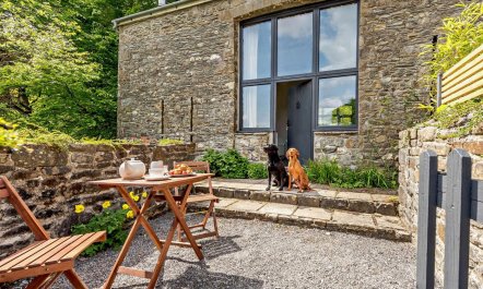 3 Bed in Llandovery 1