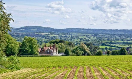 1 Bed in Sherborne 1