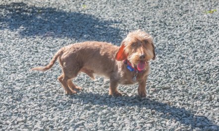 1 Bed in Llwyngwril 3