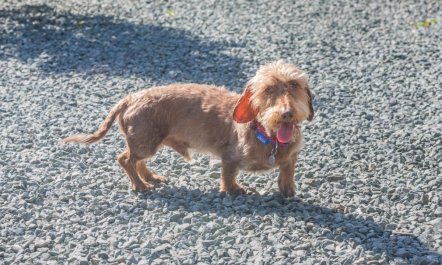 1 Bed in Llwyngwril 3