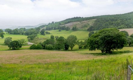 1 Bed in Bala 9