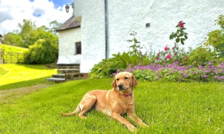 5 Bed in Kendal 4
