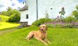 5 Bed in Kendal 4