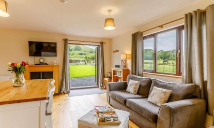 2 Bed in Llandrindod Wells 1