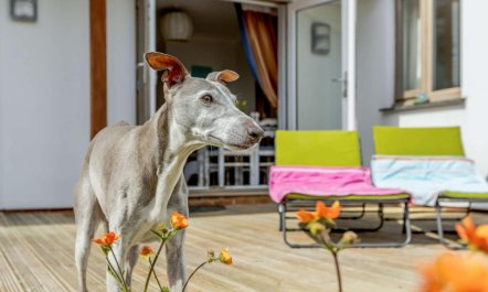 4 Bed in Bude 5