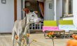 4 Bed in Bude 5