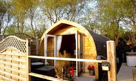 1 Bed in Llandrindod Wells