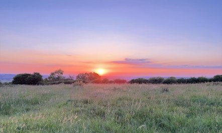 2 Bed in Blandford Forum 5