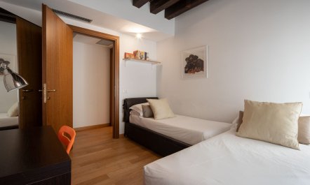 Rialto Reverie 8
