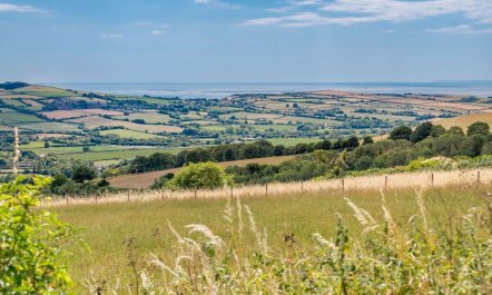 1 Bed in Dorchester 1