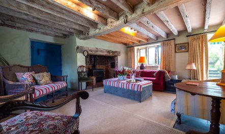 Tudor Dreams