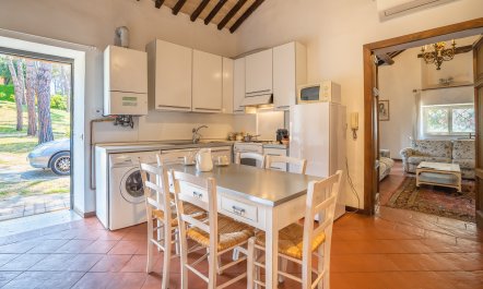 Villetta Romana 7