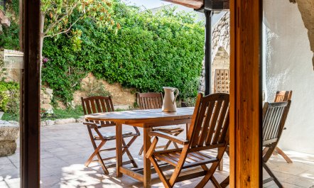 The Vine Harvest 8