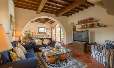 Olive Vineyards 7