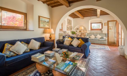 Olive Vineyards 5