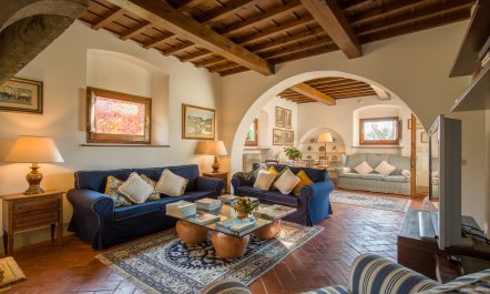 Olive Vineyards 6