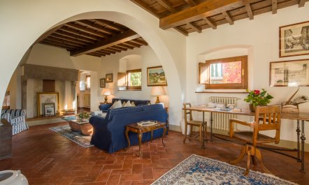 Olive Vineyards 9