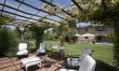 Olive Vineyards 2